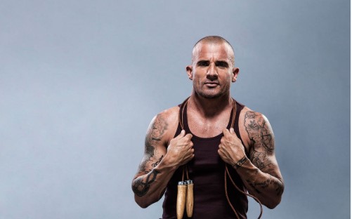 Dominic Purcell measurements, net worth, nickname, height, weight ,age 2025